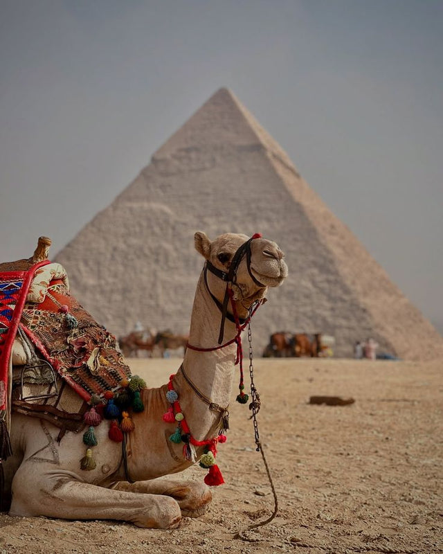 EGYPT TRAVEL GUIDE | The 2-week itinerary