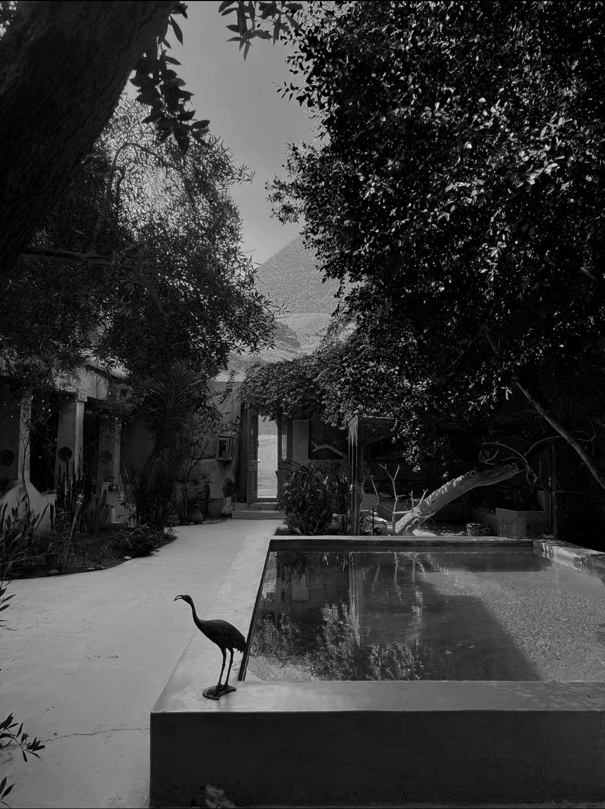 House Babylon x Pullman Club