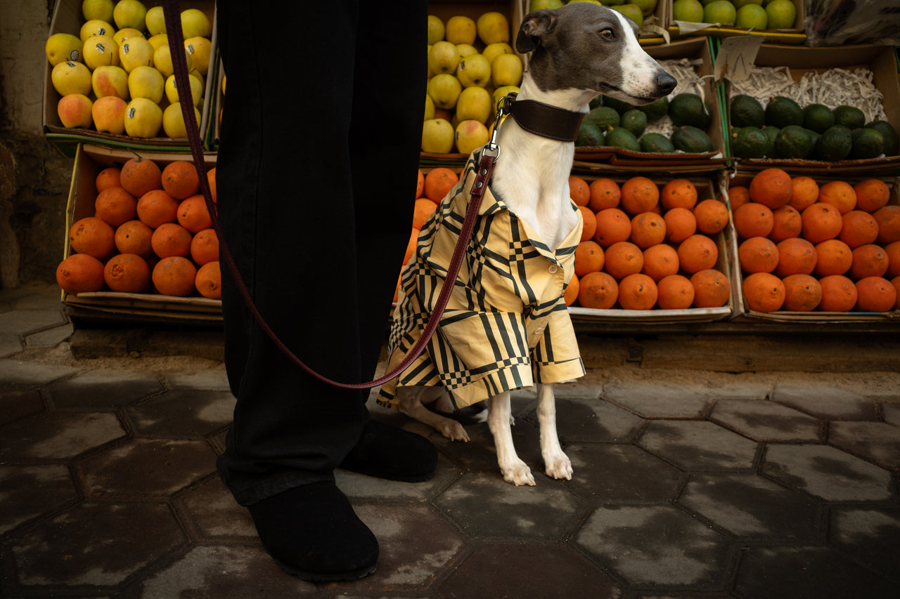 Grid Striped Dog Shirt - Yellow