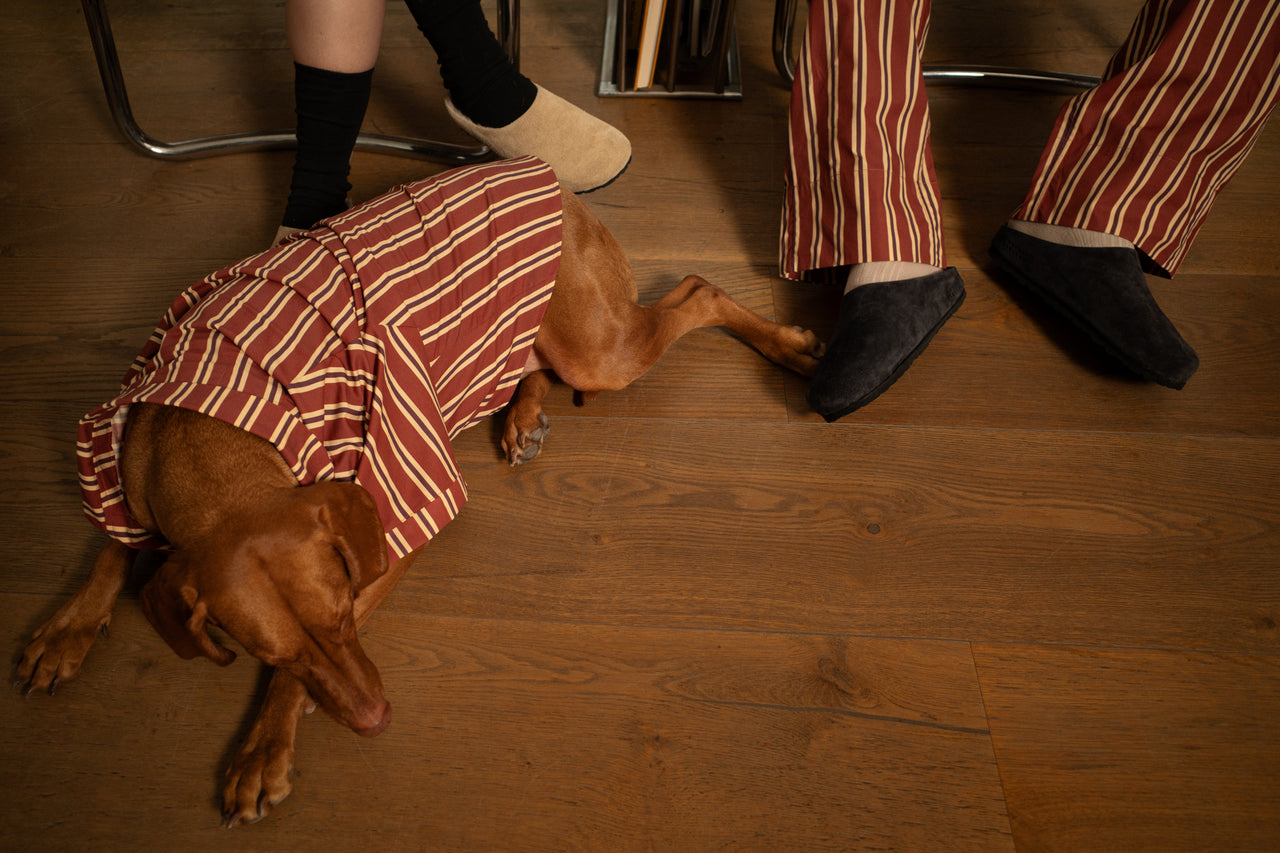 Soho Striped Dog Shirt - Red