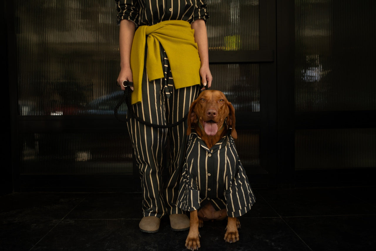 Soho Striped Trousers - Green